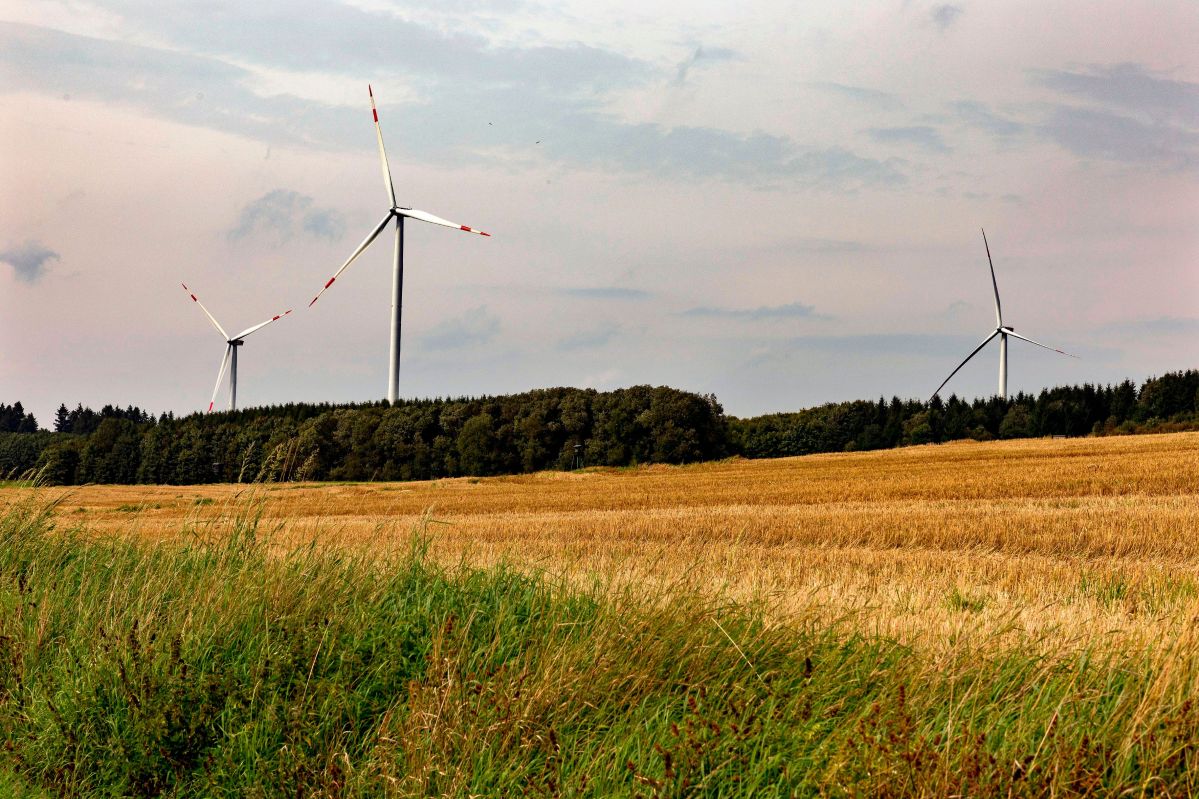 Windpark Höhn Ein Windrad, davor eine Wiese und im Hintergrund ein grauer Himmel